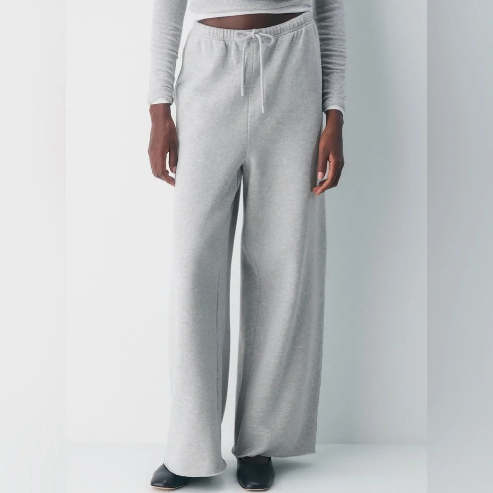 Aritzia Cozy Sweatfleece Mega Flutter™ Sweatpant in Heather Chrome - Picture 2 of 9